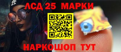 амф Кингисепп