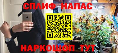 амф Кингисепп