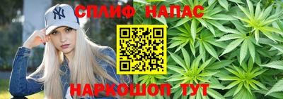амф Кингисепп