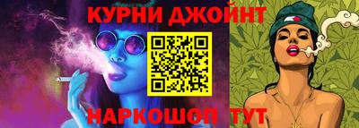 амф Кингисепп