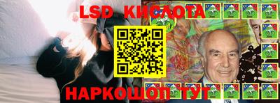PSILOCYBIN Кинель