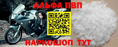 амф Кингисепп