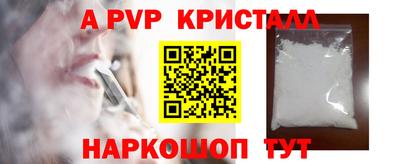 амф Кингисепп