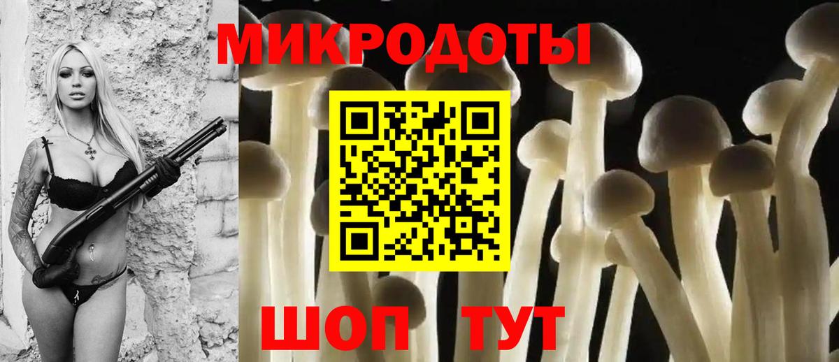 Королёв  Псилоцибиновые грибы мицелий  Вход с VPN 