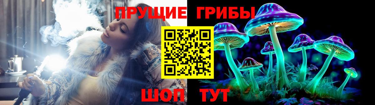Галлюциногенные грибы GOLDEN TEACHER Королёв